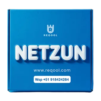 Acceso a cursos Netzun